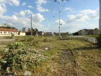 Imagine atasata: Pod Stefan Cel Mare - 2019.09.14 - 59.jpg